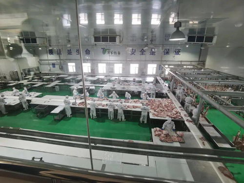 電子商務(wù)進(jìn)牧區(qū)，郵政企業(yè)有話說(shuō)